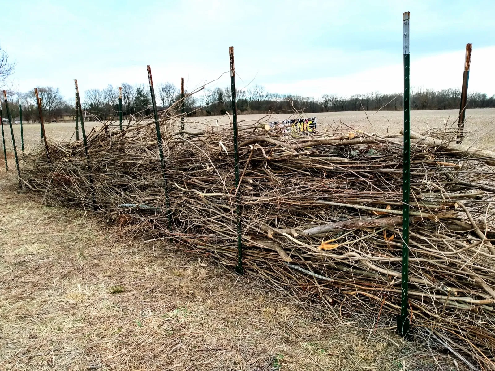 Cut brush piled along a fence line waiting to be hauled off