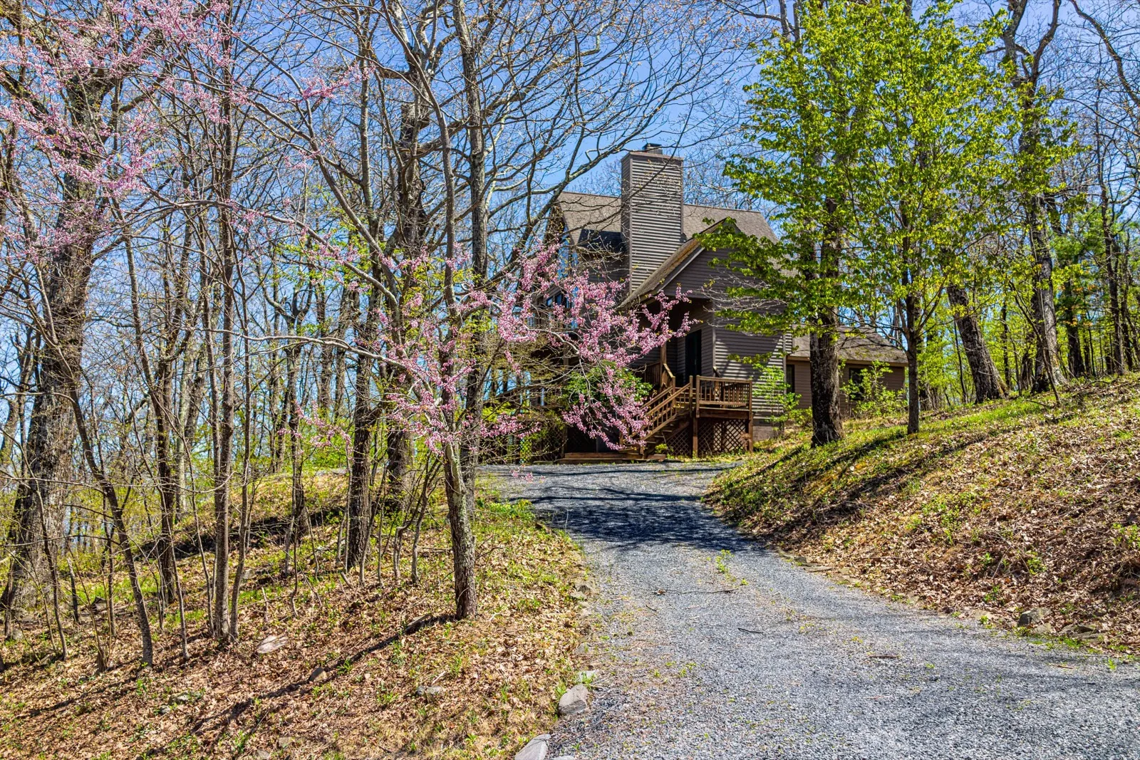 Gravel driveway winding up through trees to a wooded home site